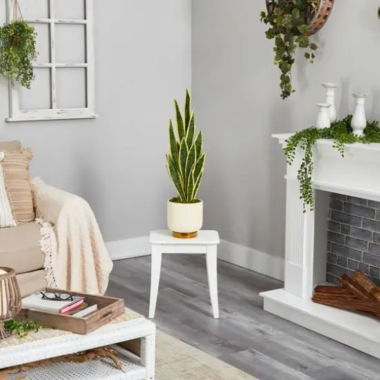 3ft. Snake Plant in Cream Planter with Gold Base {5}