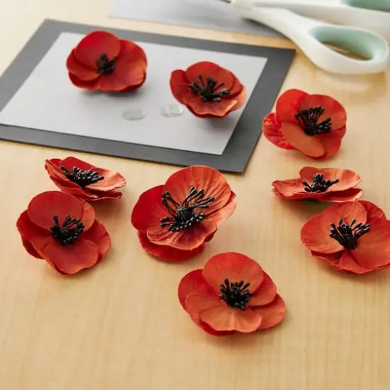 Red Poppy Paper Flowers by Recollections&trade;, 12ct. {3}