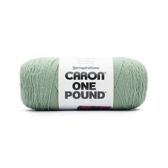 Caron&reg; One Pound&trade; Yarn Succulent {1}