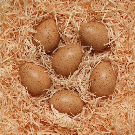 Yellow Door Sensory Sound Eggs {3}