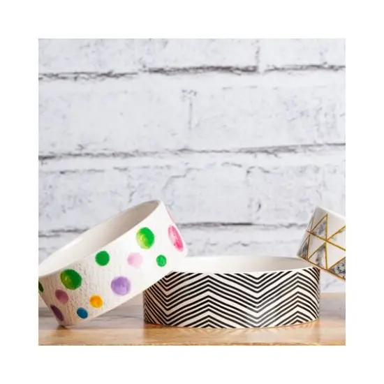 Park Life Designs Boavista 8.5" Pet Bowl {3}