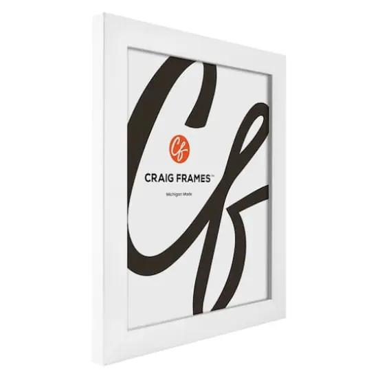 2 Pack Craig Frames Contemporary White Satin Picture Frame {3}
