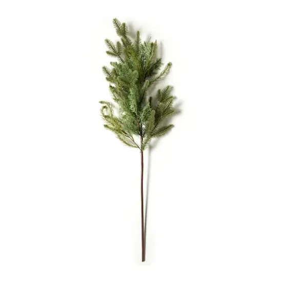 Evergreen Branch by Ashland&reg; {1}