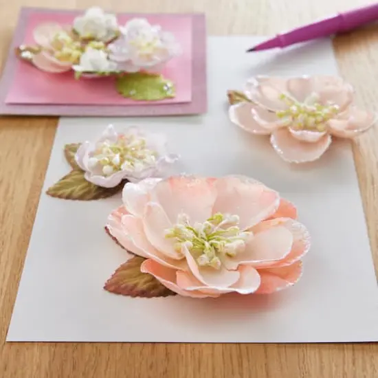 Coral Tatiana Flowers by Recollections&trade; {3}