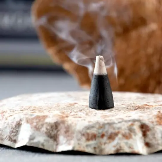 Midnight Woods Scented Incense Cones, 40ct. by Ashland&reg; {6}