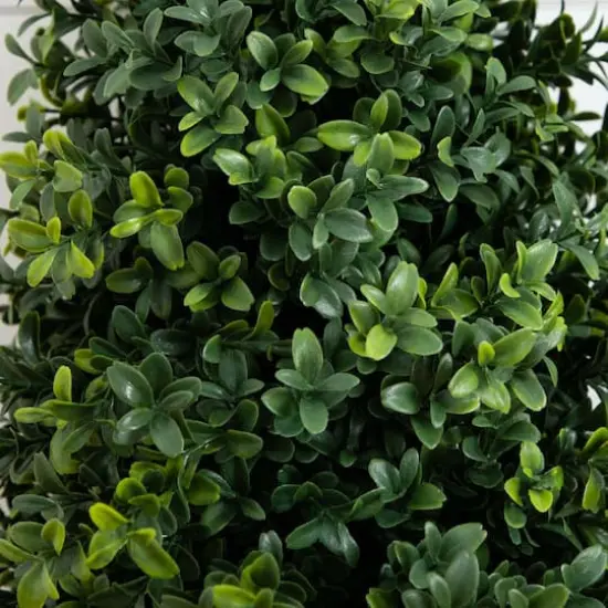 2.5ft. UV Resistant Boxwood Plant Set with Integrated Ground Stake {5}