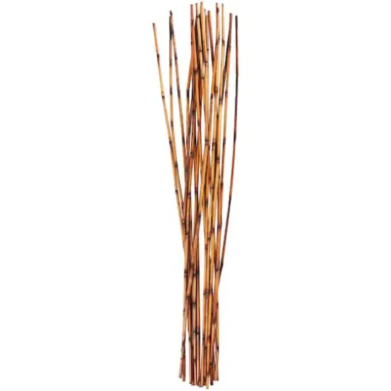 41" Brown Bamboo Sticks Natural Foliage {1}