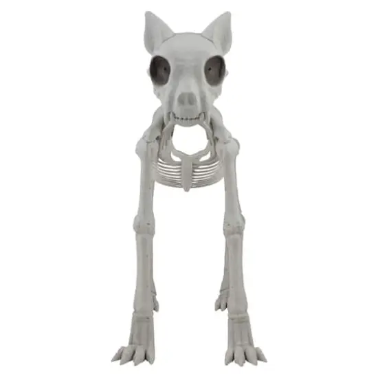 5ft. Oversized Posable Cat Skeleton by Ashland&reg; {3}