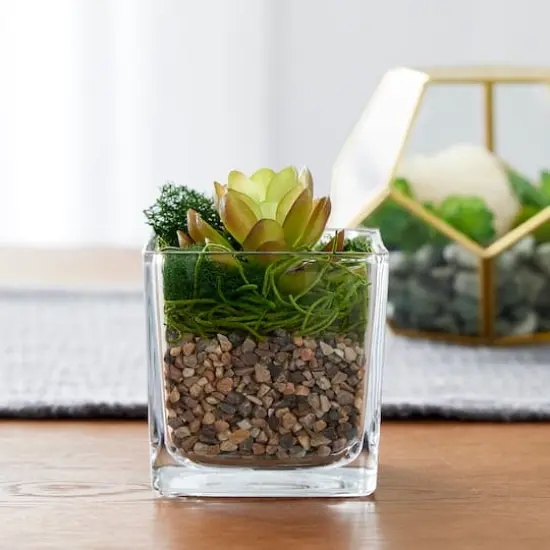 Natural Baby Rocks by Ashland&reg; {3}