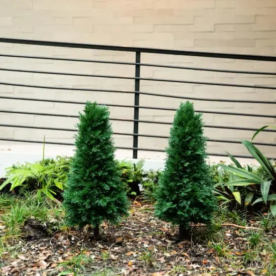3ft. UV Resistant Cedar Plant Set with Integrated Ground Stake {6}
