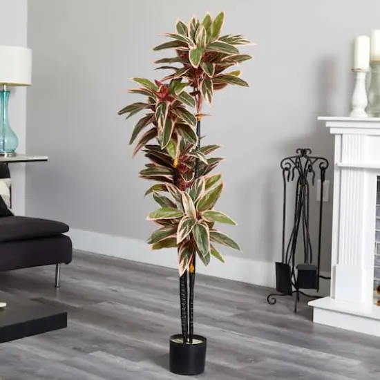 4.5ft. Potted Caladium Silk Plant {3}