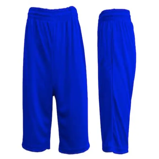 Galaxy by Harvic Men's Moisture Wicking Performance Basic Mesh Shorts Royal {1}