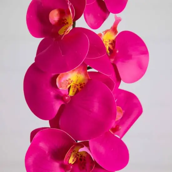 35" Beauty Pink Orchid Flower Stems, 3ct. {4}