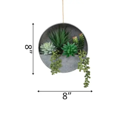 Flora Bunda&reg; 8" Succulent in Hanging Wall Planter {3}