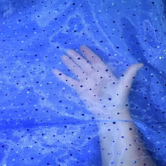 Feldman Blue Dot Organza {4}