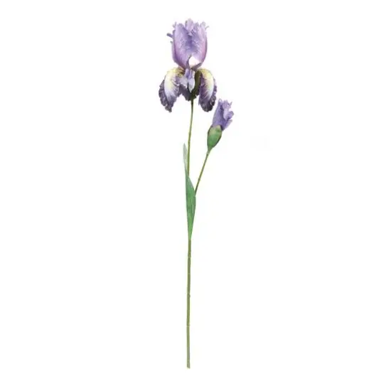 32.5" Iris Floral Stem, 6ct. {3}