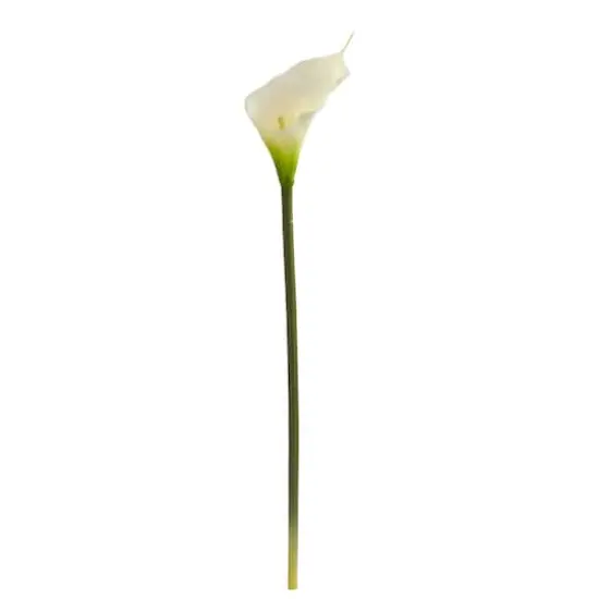 White Calla Lily Flower, 12ct. {3}