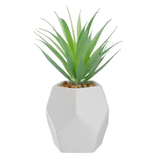 7.5" Green Sword Grass in White Geometric Pot {4}