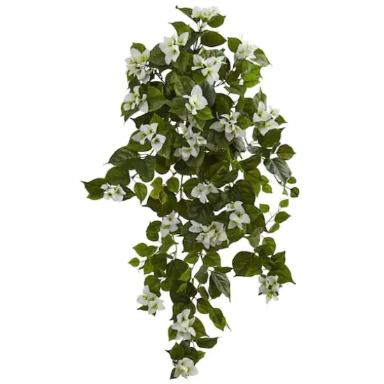 37" Bougainvillea Hanging Plant, 2ct. {1}
