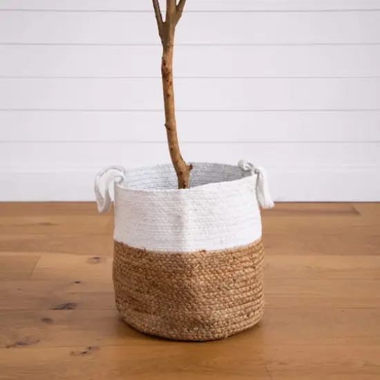 7ft. Olive Tree with Natural Trunk in Handmade Jute Basket {5}