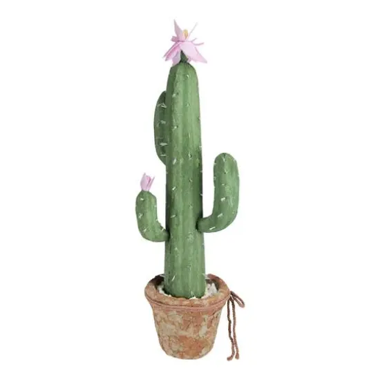 21.5" Southwestern Style Potted Cactus with Flowers {3}