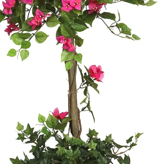 5ft. Potted Mini Bougainvillea Topiary {4}