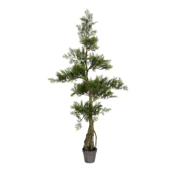 4ft. Potted Cedar Tree {1}