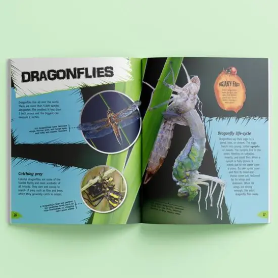 Incredible But True: Bugs & Insects {5}