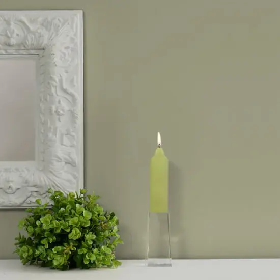 Root Candles 5" Unscented Smooth Collenette Taper Candles, 8ct. Willow {5}