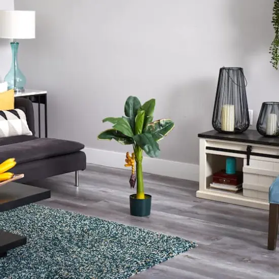 3ft. Potted Banana Tree {4}