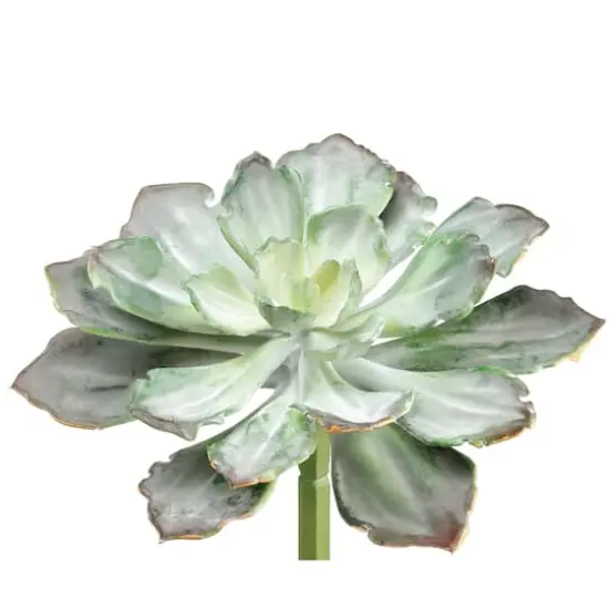 Soft Touch Dark Green & Gray Echeveria Pick {1}