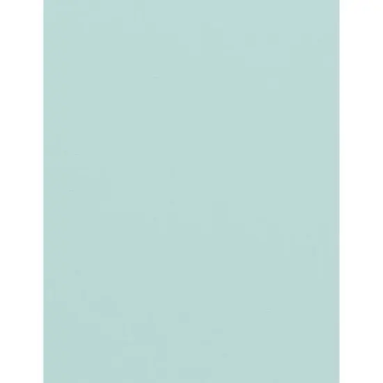 PA Paper&trade; Accents 8.5" x 11" 74lb. Muslin Cardstock Paper, 1,000 Sheets Sea Salt {1}
