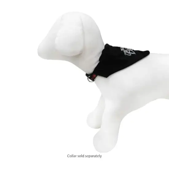 Best Furry Friends Black Team Bride Bandana Collar Slide {4}