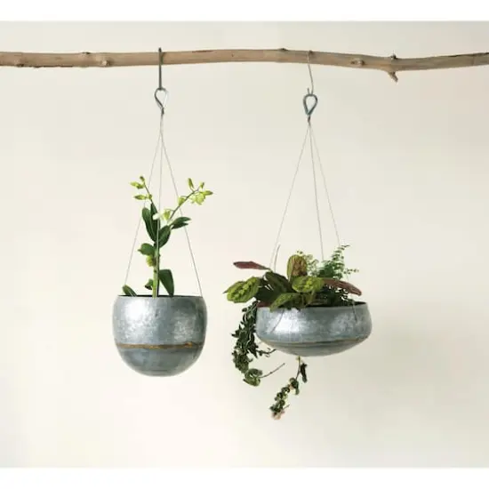 Hello Honey&reg; 12" Grey & Gold Hanging Iron Planter {4}