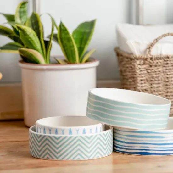 Park Life Designs Talto 5.25" Pet Bowl {3}