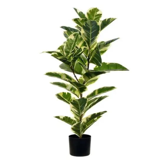 3ft. Potted Artificial Dumb Cane Tree {1}