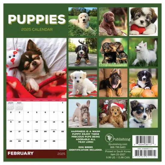 TF Publishing 2025 Puppies Mini Calendar {3}