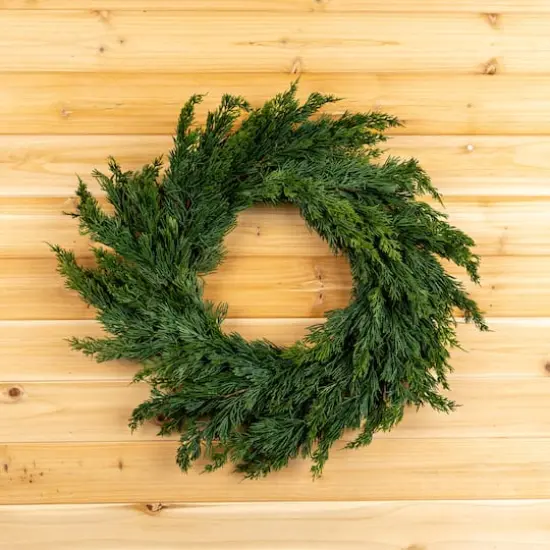 25" Variegated Pine Wreath {3}