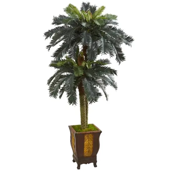 6ft. Double Sago Palm Tree in Decorative Planter {1}