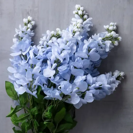 Blue Wisteria Bush by Ashland&reg; {7}