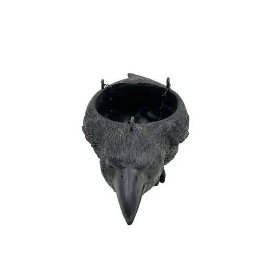 11.5" Black Crow Hanging Planter by Ashland&reg; {3}