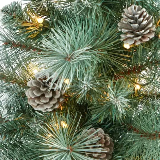 4ft. Pre-Lit Frosted Tip British Columbia Mountain Pine Artificial Christmas Tree with Pinecones, Clear Lights {5}