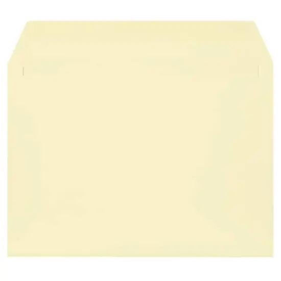 JAM Paper Strathmore 9" x 12" Booklet Wove Envelopes, 25ct. Natural White {4}