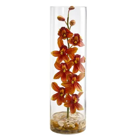 20" Burgundy Cymbidium Orchid Arrangement in Cylinder Vase {1}