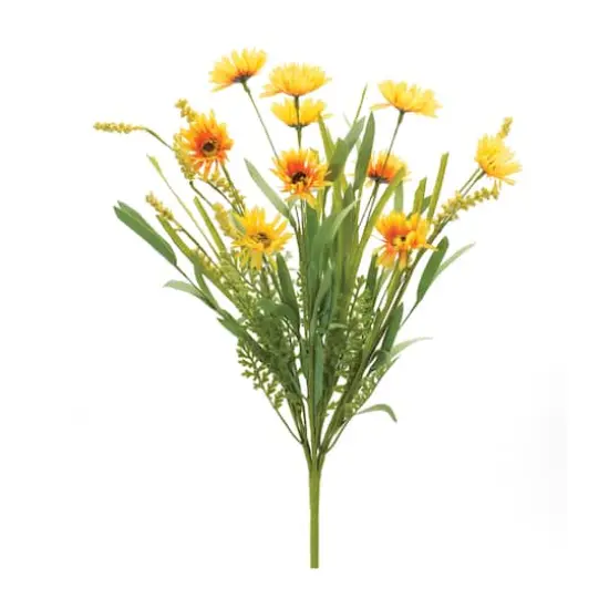 Yellow Mixed Daisy Bush, 6ct. {1}