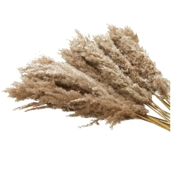 Dried Plant Pampas Natural Foliage with Long Stems Brown {6}