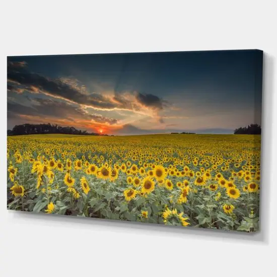 Designart - Sunflower Sunset with Cloudy Sky - Large Landscape Canvas Art {3}