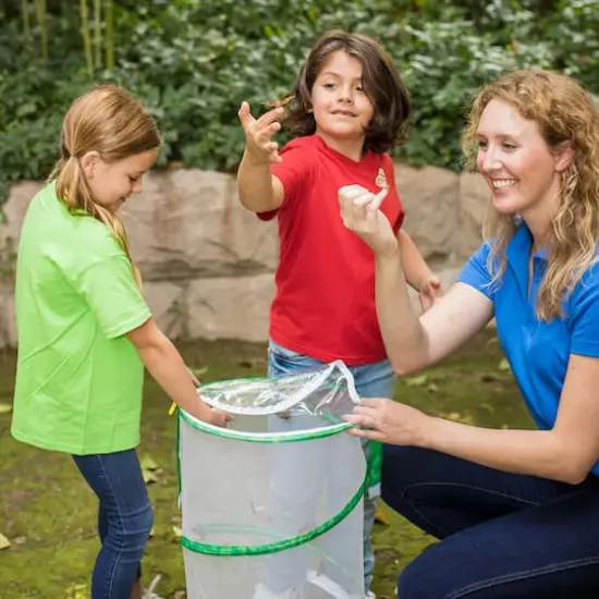 Butterfly Pavilion&reg; {7}