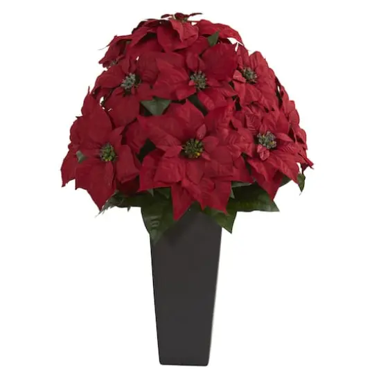2.25ft. Red Poinsettia Plant in Black Planter {1}