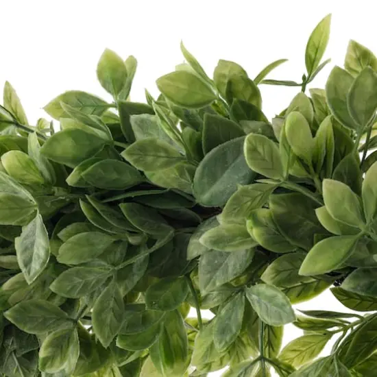 20" Plastic Foliage Wreath by Ashland&reg; {4}